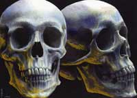 Skulls Online photo