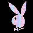 PlayBoy Bunny!! Online photo